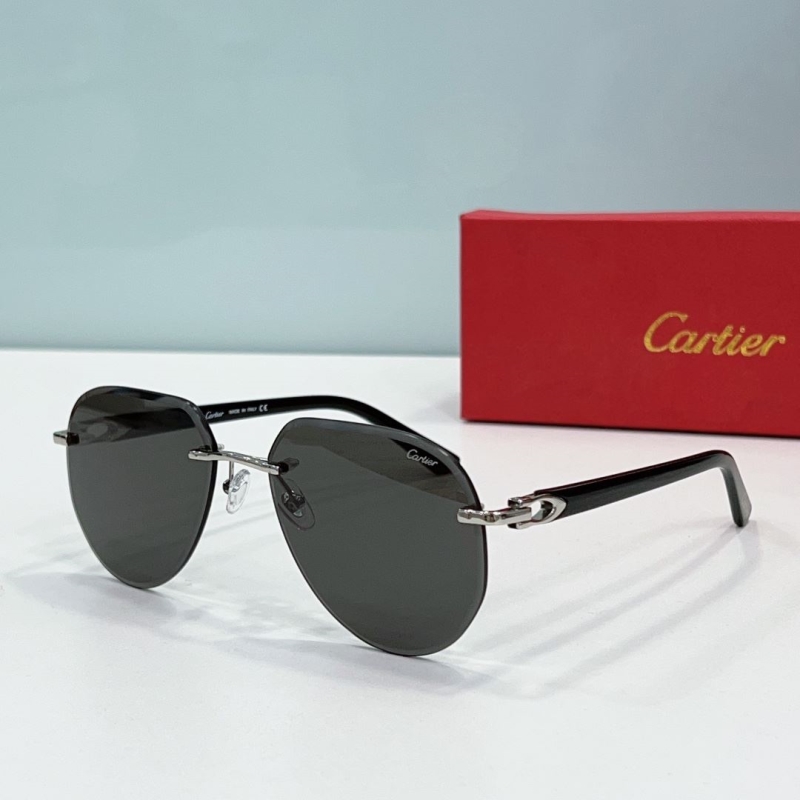 Cartier Sunglasses